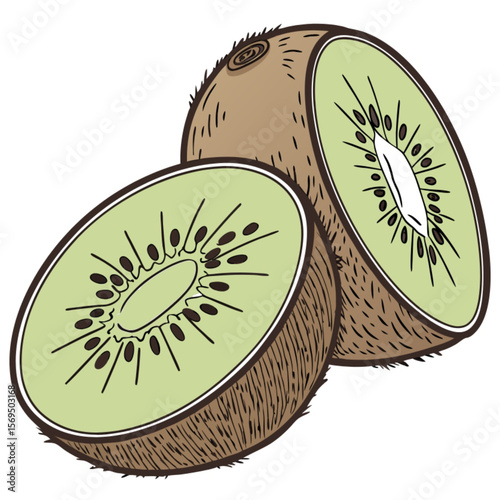 Green kiwi fruit slices isolated on a white background, a healthy and fresh tropical food