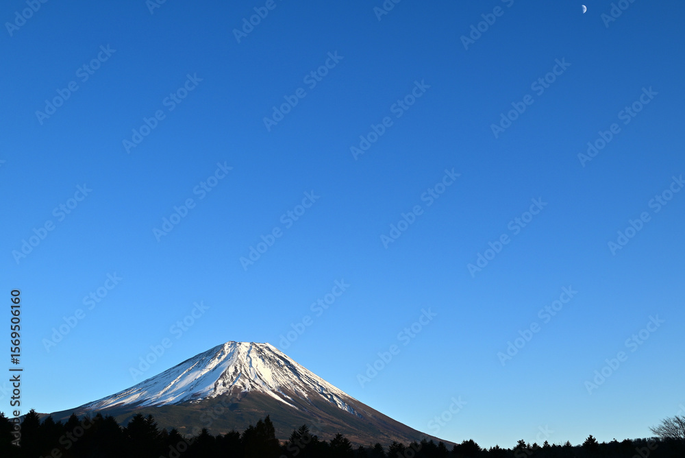 Fototapeta premium mount fuji and crescent moon