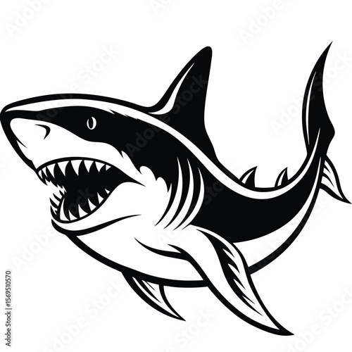 Aggressive great white shark open mouth teeth fins silhouette
