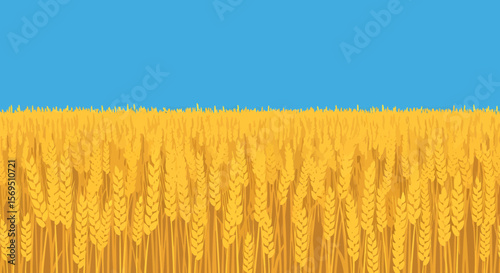 Golden Wheat Field Illustration with Ripe Grain Heads and Blue Sky