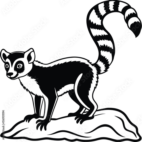 Ring tailed lemur standing on a rock silhouette
