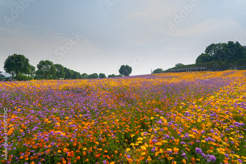 Wuhan Hua Bo Hui Scenic Spot Spring Scenery