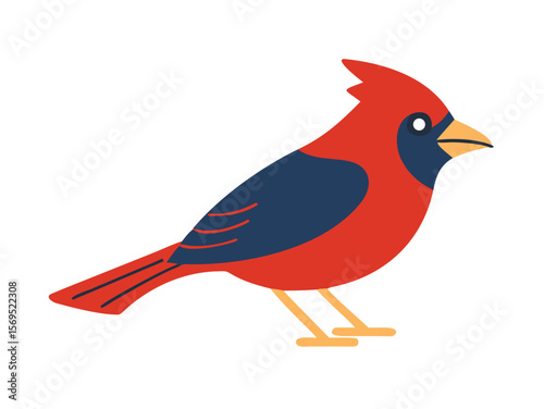Vector Illustration of a Vibrant Red Cardinal , A stylized, cartoon-like illustration of a cardinal bird. 
