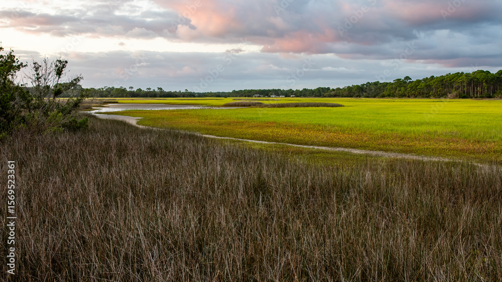 Fototapeta premium Colorful clouds over the salt marsh at low tide revealing the green spartina grass