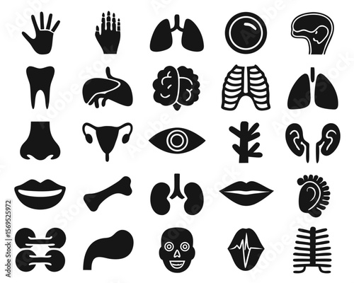 Comprehensive collection of anatomical glyphs and pictograms representing various body parts and medical concepts presented in a clean and modern design style