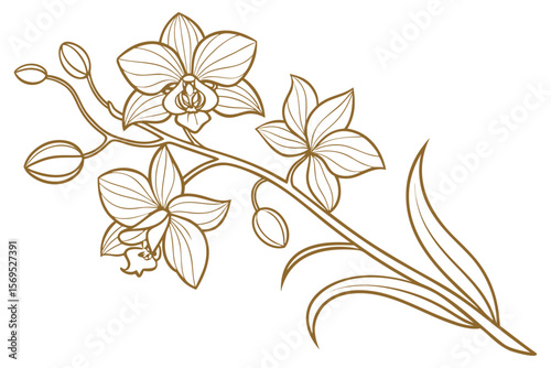 Elegant Gold Orchid Floral Background in Luxurious Vector Design

