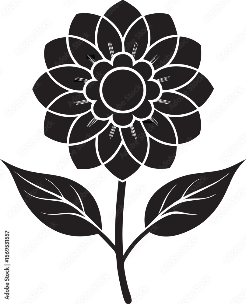 Fototapeta premium Black flower detailed petals leaves blooming stem
