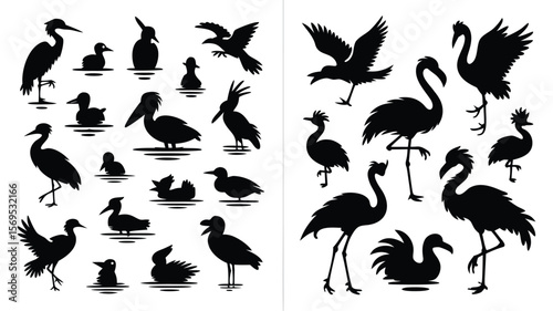 Black Silhouette Collection Herons, Ducks, Pelicans, Swans, and Other Aquatic Birds on White Background
