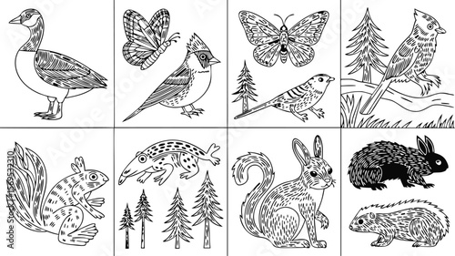 Wallpaper Mural Black and White Line Art Collage Forest Animals, Birds, Butterfly, and Canadian Goose Design Torontodigital.ca