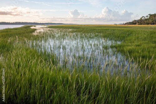 A low view of the tidal marsh along the Tolomato River