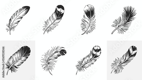 Eight Different Black and White Feather Drawings with Unique Designs Isolated on a White Background