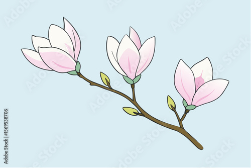 Pink magnolia tree blossoms herald the vibrant beauty of spring, a stunning floral display in nature's garden