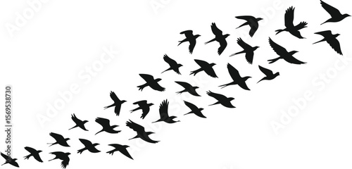 Flock of Silhouetted Birds Flying Diagonally Upward on White Background, Minimalist Design