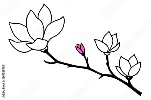 Elegant pink magnolia blossom and leaf vector tree silhouette illustration