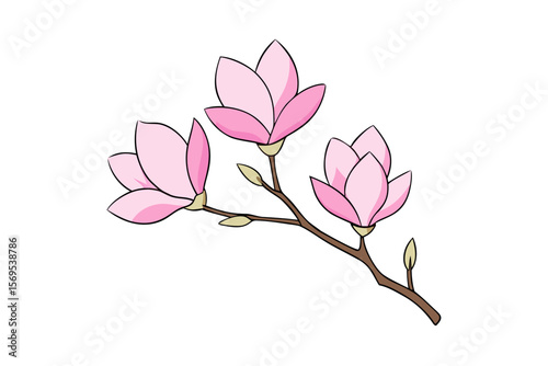 Pink magnolia tree blossoms bloom beautifully on a branch, showcasing the stunning beauty of spring nature