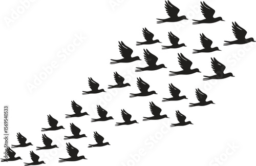 Silhouette of Birds Flying in Formation Against a White Background, Black Bird Illustrations