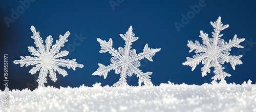 Charming macro image displaying three intricate snowflakes on a snowy surface