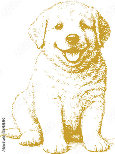 A fine-detail hand-drawn illustration of a golden retriever puppy. Ideal for pet food packaging, adoption posters, vet clinics, grooming ads, and puppy training brands.