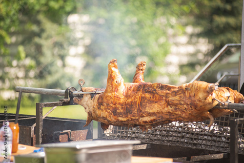 Suckling pig grilled on the fire. Grilled pig on a spit