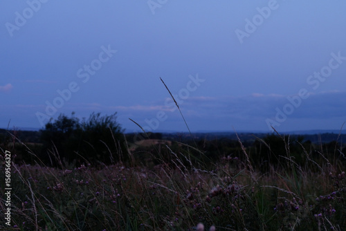 sunset in the field
