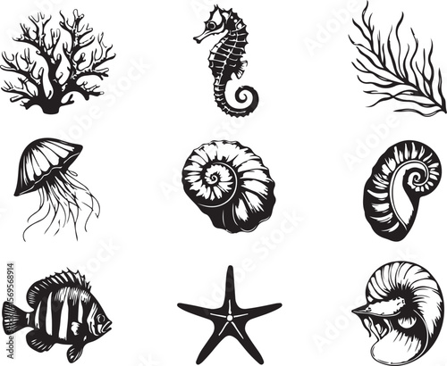 Black and white marine life illustrations seahorse jellyfish