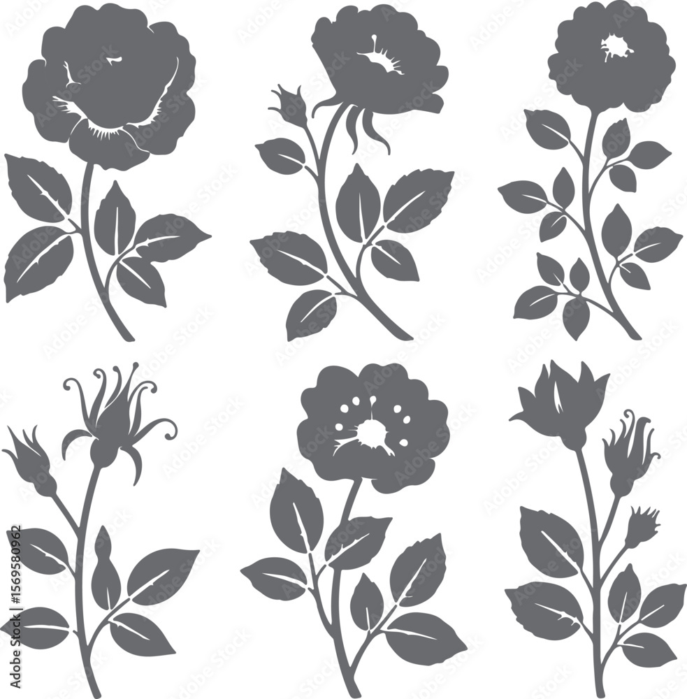 Six Gray Rose Silhouette Designs Botanical Floral Elements Gray Scale Flower Stems Leaves Buds Simple Elegant Nature Illustration