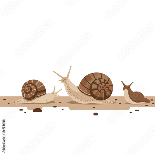 Snails crawling on the ground with brown shells in nature  