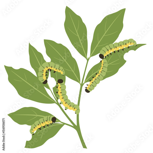 Caterpillars feeding on green leaves in a natural environment  