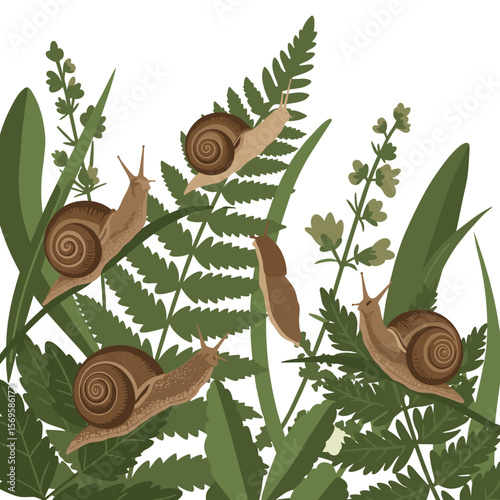 Snails crawling on green ferns in a natural setting  