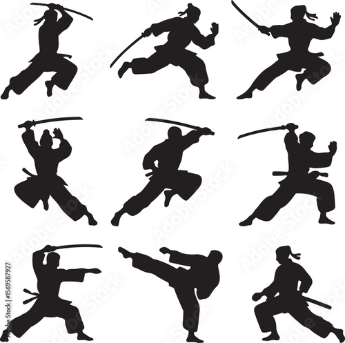 Martial artists performing combat moves with swords silhouette martial arts