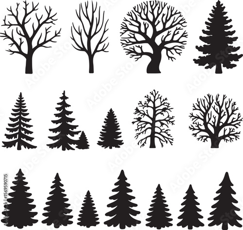 Diverse tree silhouettes bare and evergreen trees bare trees
