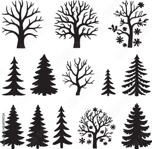Diverse tree silhouettes winter deciduous and evergreen deciduous tree evergreen tree