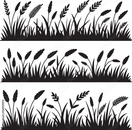 Tall grass and reeds silhouette border nature