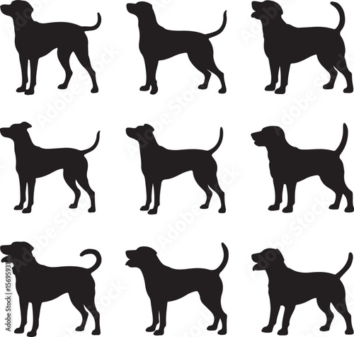 Black dog silhouettes standing alert canine animal