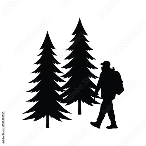 Silhouette hiker walking past pine trees forest