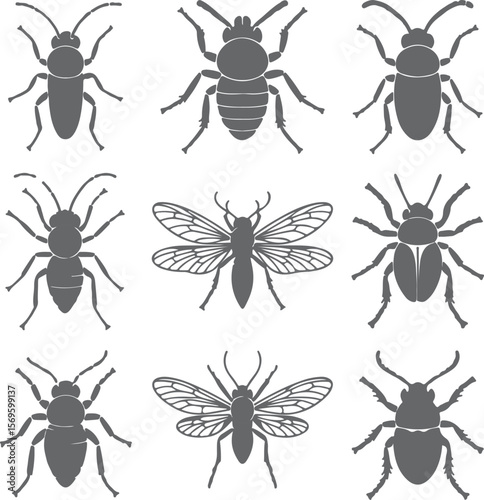 Insect silhouettes with detailed anatomical features beetle