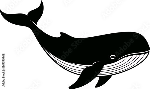 Majestic Humpback Whale Illustration for Marine Life Enthusiasts