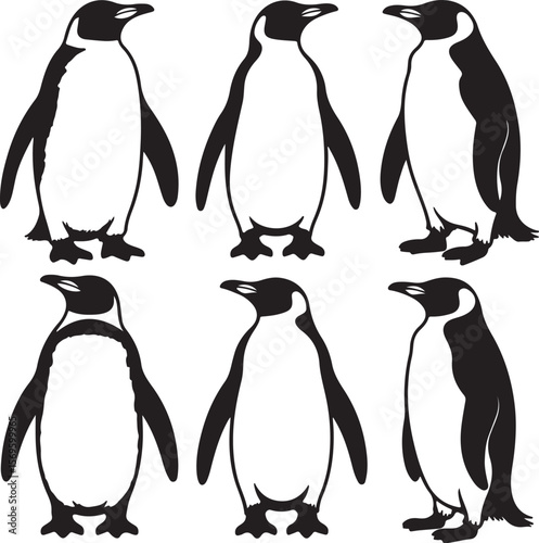 Black and white penguin silhouettes bird
