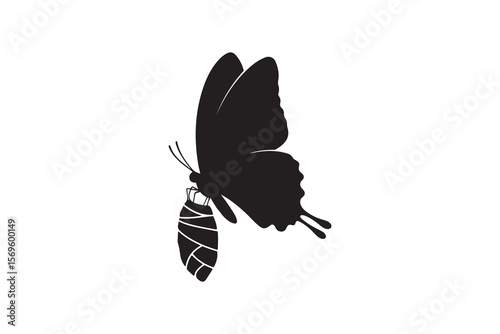 Butterfly Emerging from Chrysalis Silhouette Design