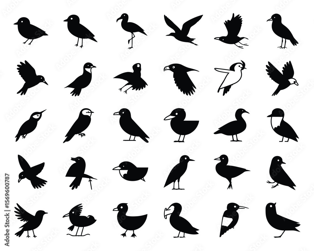 Obraz premium set of birds