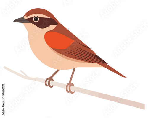 bird on a branch