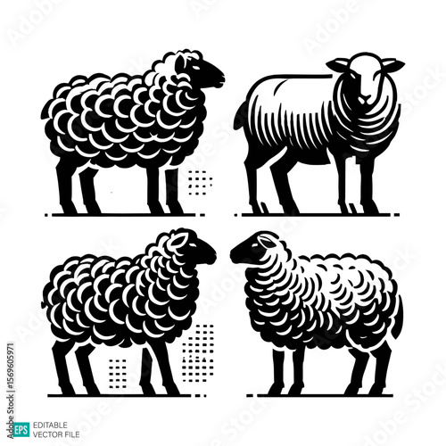set of sheep vector black and white illustration