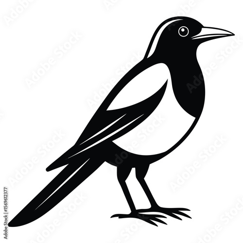 Minimalist Magpie Silhouette Vector for Bird or Wildlife Design