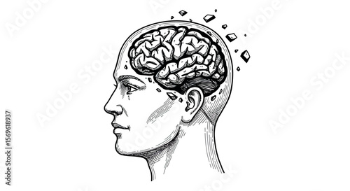 Detailed hand-drawn sketch of human brain with disintegrating elements