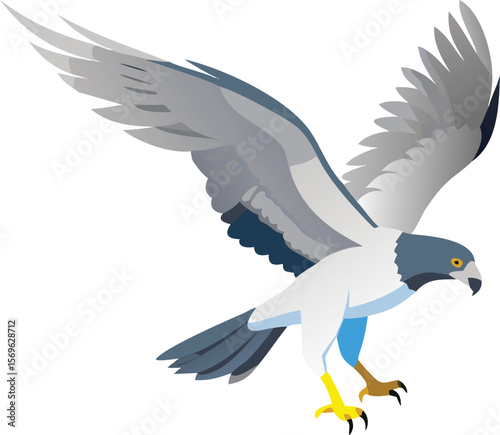 Northern goshawk in powerful pursuit, wings beating, raptor, forest, strong, illustration