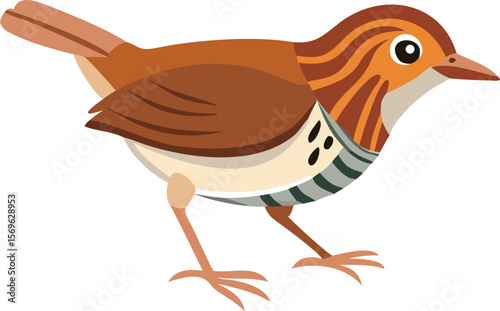 Ovenbird walking confidently on forest floor, camouflaged, songbird, woodland, illustration