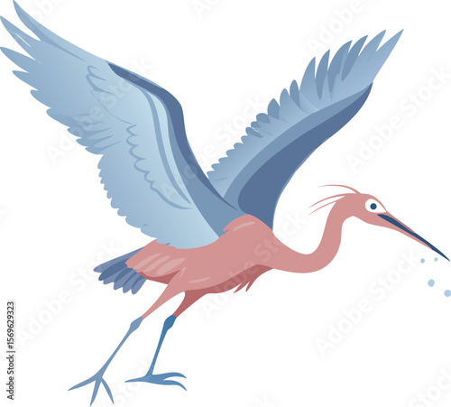 Reddish egret performing canopy feeding, unique display, active, wetland bird, illustration
