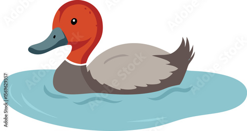 Redhead duck with head submerged, foraging for food, diving duck, wetland, lake, illustration