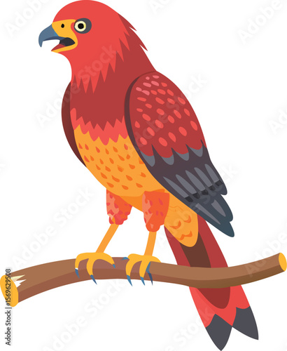 Red-shouldered hawk calling loudly, perched on branch, raptor, forest, distinct, illustration