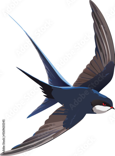 Tree swallow diving and swooping, creating elegant arcs, agile, aerial insectivore, illustration